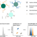 Multiplex Cytokine Detection