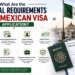 What Are the General Requirements for a Mexican Visa Application? What Are the General Requirements for a Mexican Visa Application 1