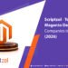 top 10 magento development companies in usa