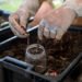 worm composting kits