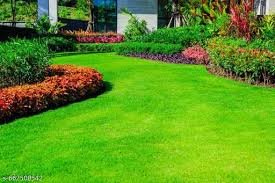 green grass carpet